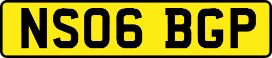 NS06BGP