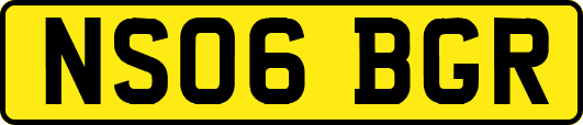 NS06BGR