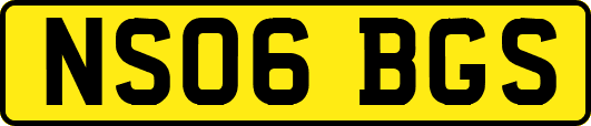 NS06BGS