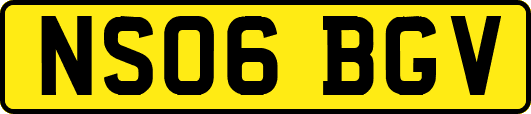 NS06BGV