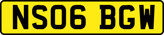 NS06BGW