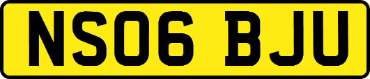 NS06BJU
