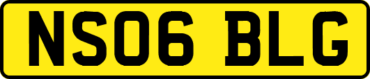 NS06BLG