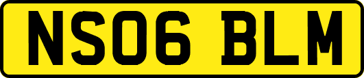 NS06BLM