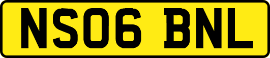 NS06BNL
