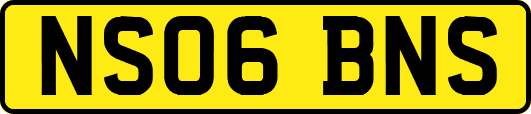 NS06BNS