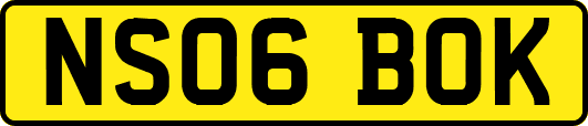 NS06BOK