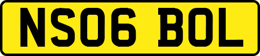 NS06BOL