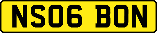 NS06BON