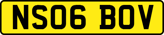 NS06BOV