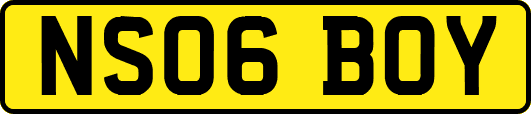 NS06BOY