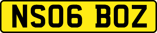 NS06BOZ