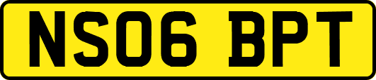 NS06BPT