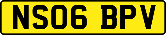 NS06BPV