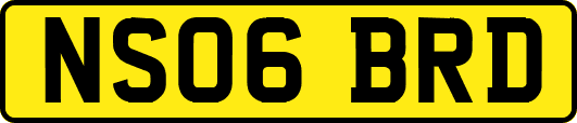 NS06BRD