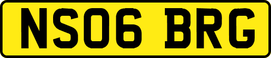 NS06BRG