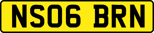 NS06BRN