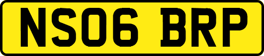 NS06BRP