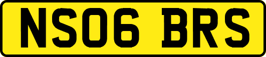 NS06BRS
