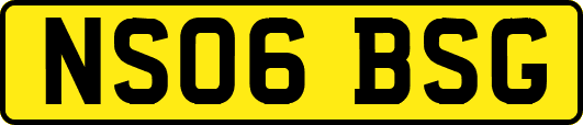 NS06BSG