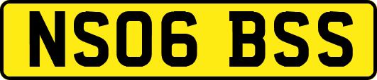 NS06BSS