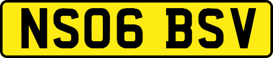 NS06BSV