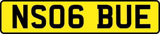 NS06BUE