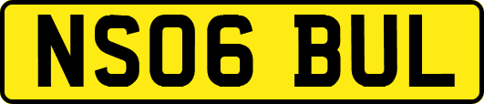 NS06BUL
