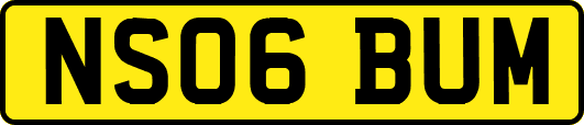 NS06BUM