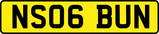 NS06BUN