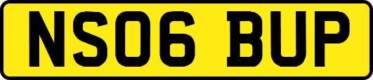 NS06BUP