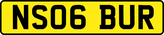 NS06BUR