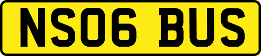 NS06BUS