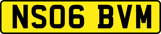 NS06BVM