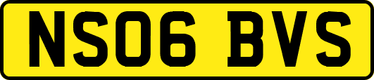 NS06BVS