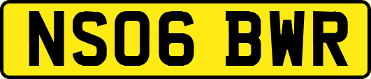 NS06BWR