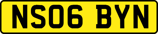 NS06BYN