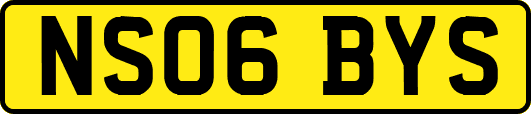 NS06BYS