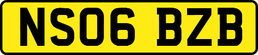 NS06BZB