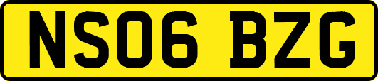 NS06BZG