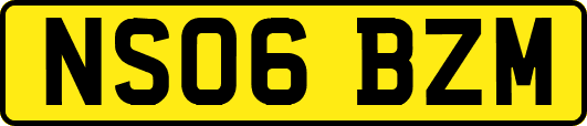 NS06BZM