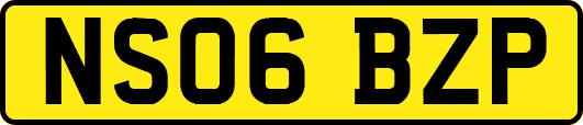 NS06BZP