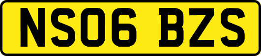 NS06BZS