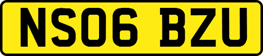 NS06BZU