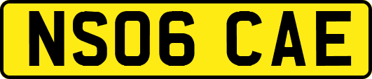 NS06CAE