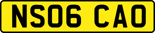 NS06CAO