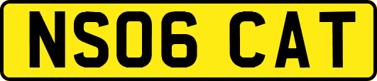 NS06CAT