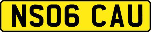 NS06CAU