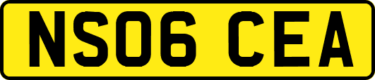 NS06CEA
