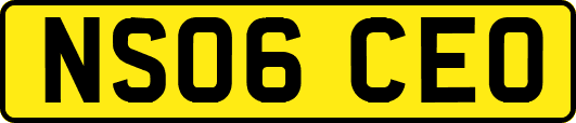 NS06CEO